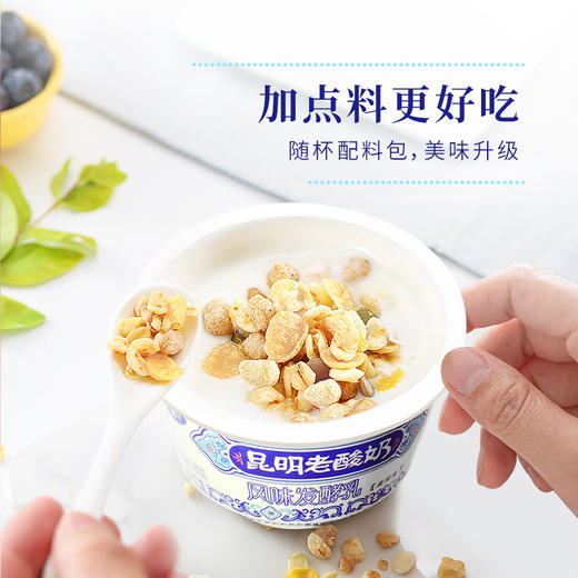 【凝固型】老酸奶 | 塑杯160g 30杯 商品图4