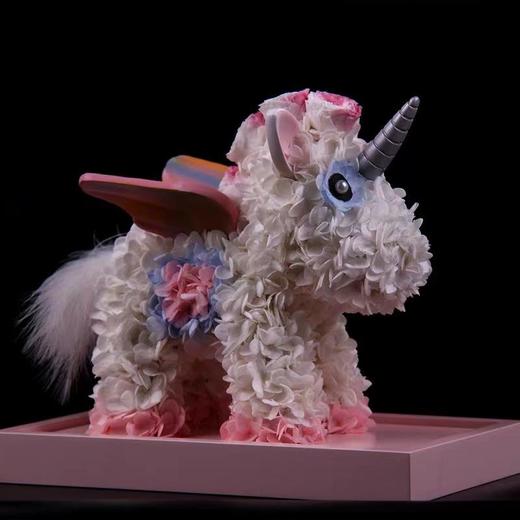 独角兽 商品图0