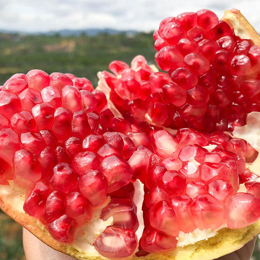 2021现摘突尼斯软籽石榴一咬就爆的“糖水小炮弹”色泽艳丽粒大多汁四川会理产地直发 商品图7