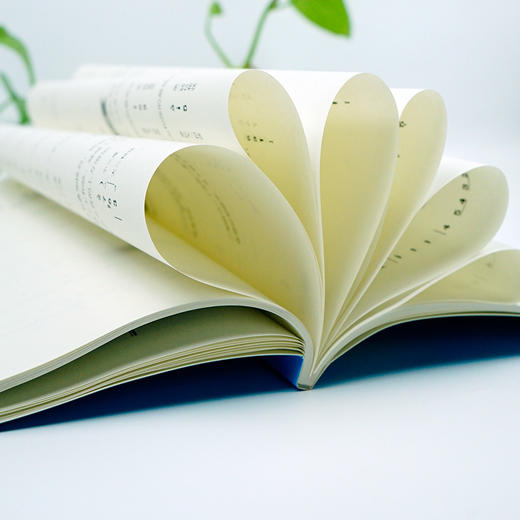 从零起步自学简谱 商品图4