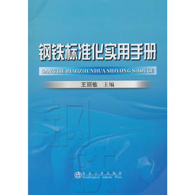 钢铁标准化实用手册/王丽敏