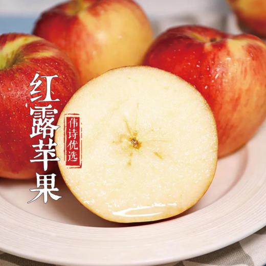 【伟诗优选】昭通丑苹果 商品图4