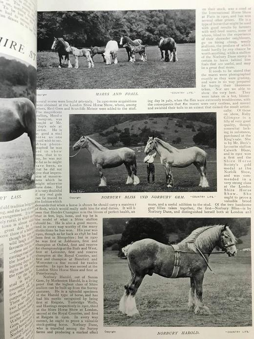 1902年 乡村生活杂志 数百幅插图 精装大16开 商品图6