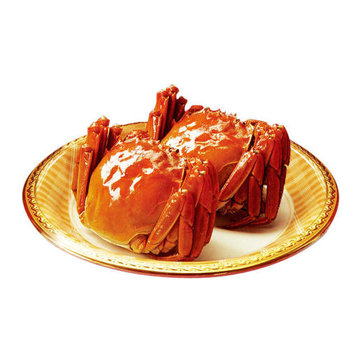 今品福 阳澄湖大闸蟹1888型（母蟹2.5两 8只）[福利品] 商品图4