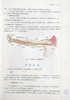 局部解剖学 全国中医药行业高等教育十四五规划教材 供针灸推拿学康复治疗学等专业用 姜国华 李义凯 新世纪第二版9787513268509 商品缩略图4