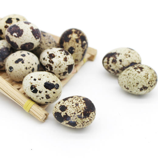 农家新鲜生鹌鹑蛋产地直发  顺丰发货 商品图4