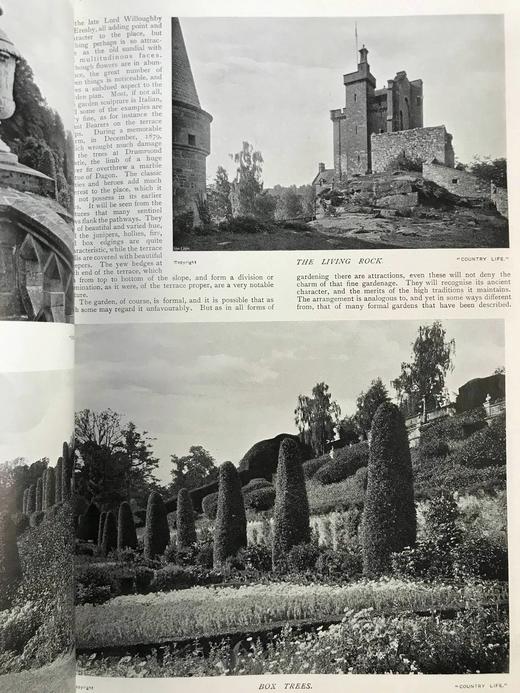 1902年 乡村生活杂志 数百幅插图 精装大16开 商品图11