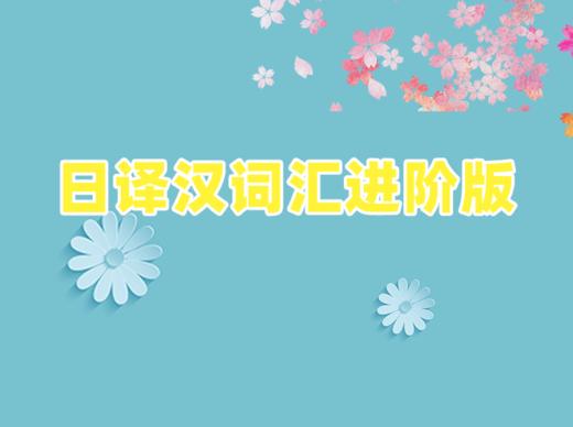 2022日译汉词汇进阶版 商品图0