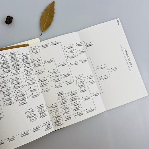 六朝名士传奇系列2册 华丽家族+簪缨世家 知名学者萧华荣代表作 王谢风流 一代传奇 商品图4