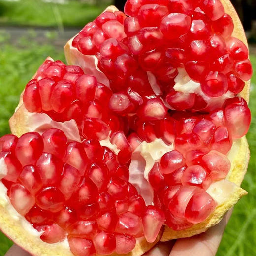 【寻味优果】出口级软籽石榴（特级），果型标准，当季时令，常食抗衰抗氧化，防血管硬化，老少皆宜！ 商品图2