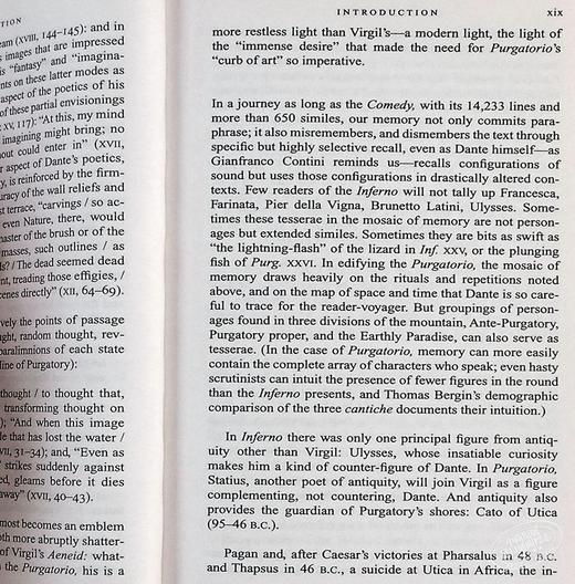 【中商原版】但丁 神曲 地狱篇  双语版 意大利语 英语 英文原版 地狱  Purgatorio  世界经典名著畅销小说书籍 商品图6