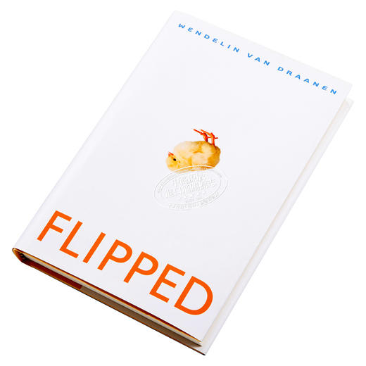 Flipped 怦然心动 （精装）英文原版精装 电影原著小说 文德琳 Wendelin 韩寒推荐 商品图2
