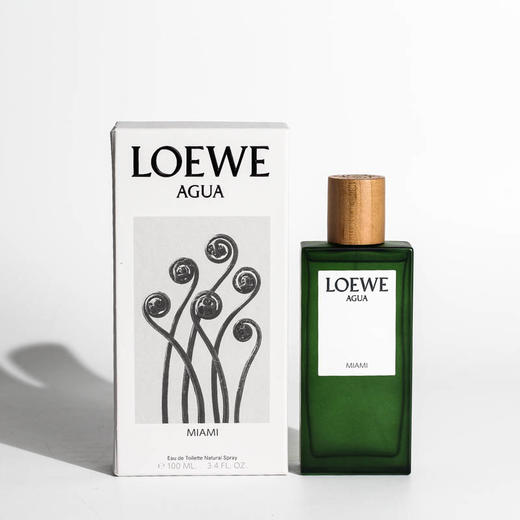 罗1威 罗1威之水盛夏风情 L0ewe Agua Miami 分装 商品图3