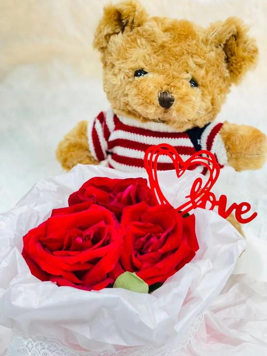 小熊抱抱（棕色） 商品图0