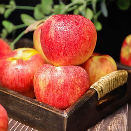 【顺丰发货】云南昭通丑苹果深山种植人工挑选鲜嫩多汁甜到心坎的脆红苹果5斤装 商品图2