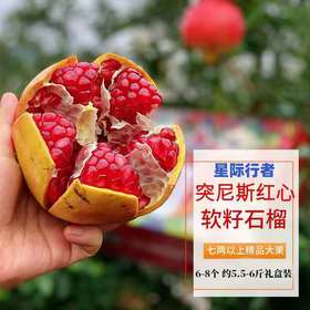星际行者突尼斯软籽石榴