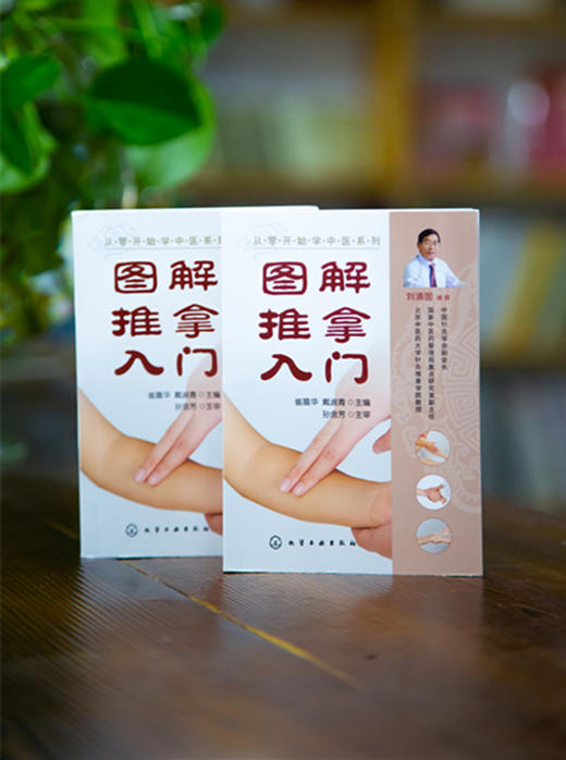 从零开始学中医系列--图解推拿入门 商品图1