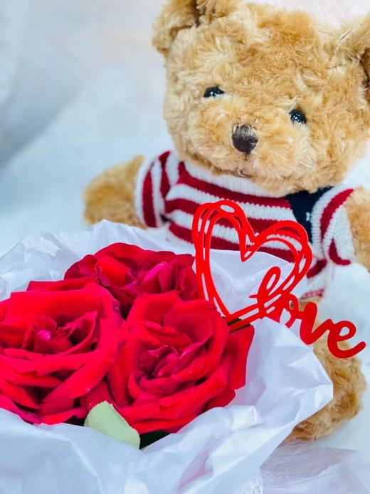 小熊抱抱（棕色） 商品图1