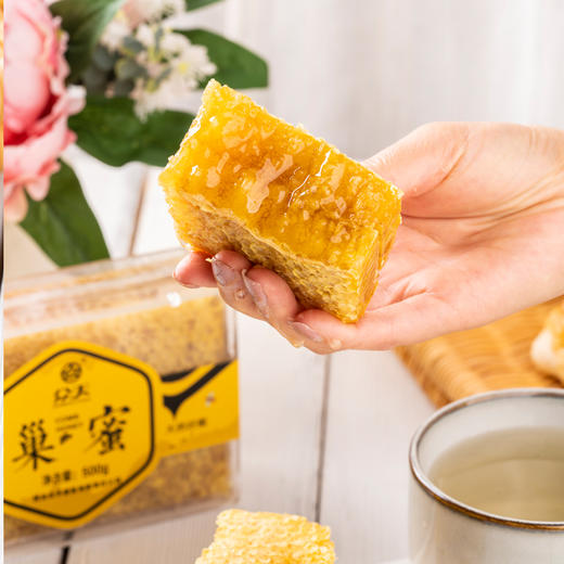 秦岭纯天然蜂巢蜜500克 商品图4