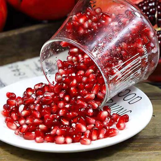 星际行者突尼斯软籽石榴 商品图1