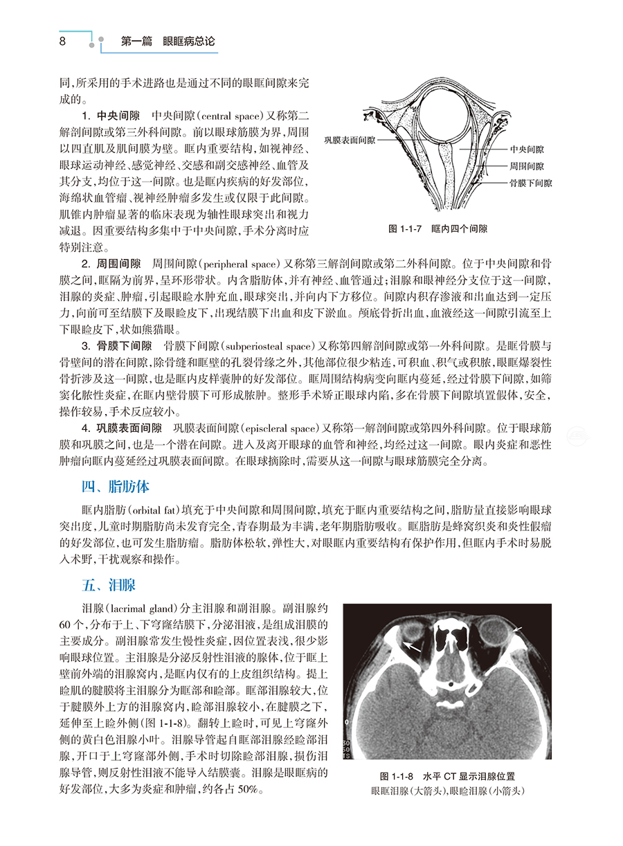 31426(yz) (7).jpg
