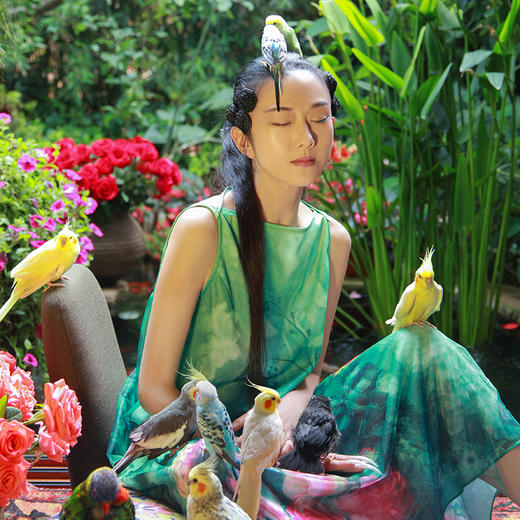 雀之灵花鸟连衣裙 | 杨丽萍老师同款 | 绿色清新 浅蓝色显白 | 现货加急发 商品图2