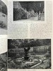 1902年 乡村生活杂志 数百幅插图 精装大16开 商品缩略图5