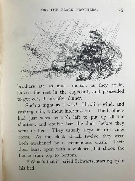 1907年 约翰·罗斯金《金河王》 21幅精美插图 布面精装36开 商品图13