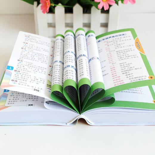 正版 新小学生专用多功能词语词典大全书 一二三四年级组词造句拼音词语积累手册儿童新华现代汉语四字成语解释 商品图1