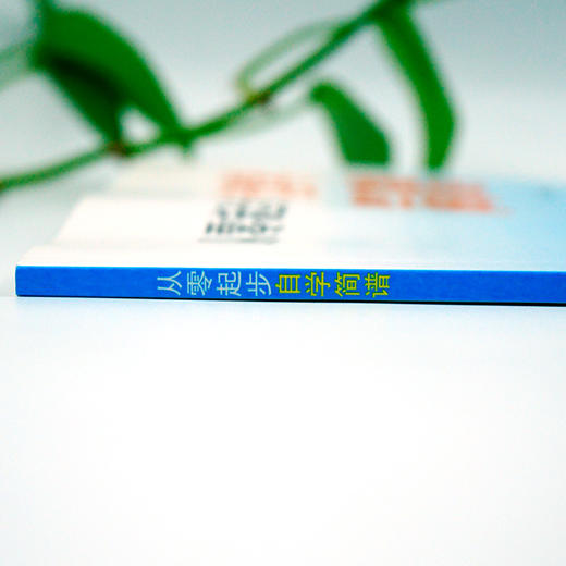 从零起步自学简谱 商品图2