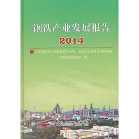 钢铁产业发展报告2014/工信部