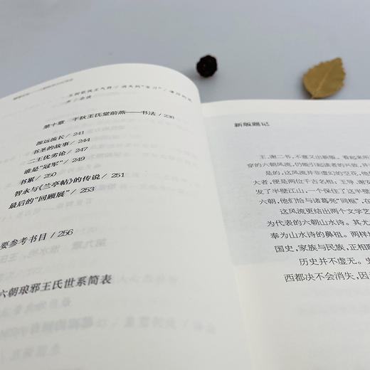 六朝名士传奇系列2册 华丽家族+簪缨世家 知名学者萧华荣代表作 王谢风流 一代传奇 商品图3