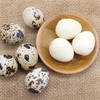 农家新鲜生鹌鹑蛋产地直发  顺丰发货 商品缩略图2