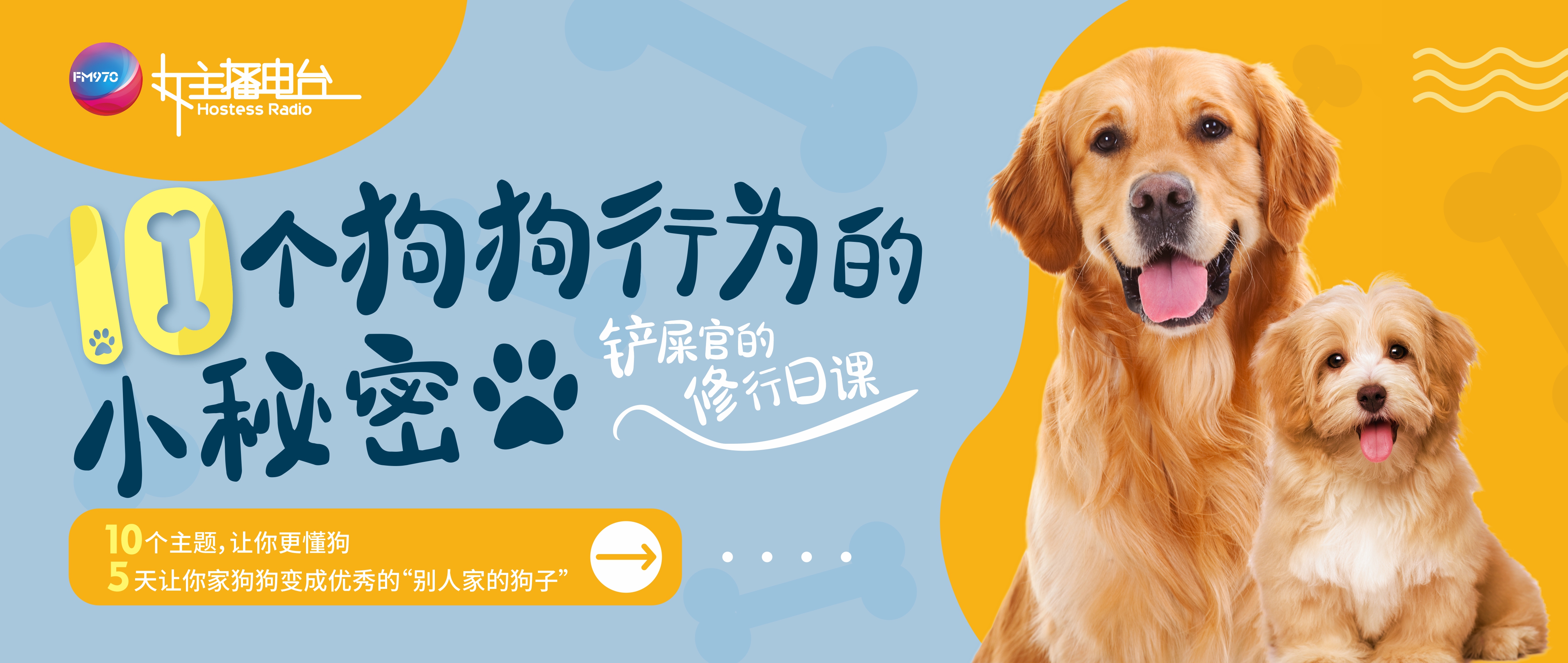 铲屎官的修行日课：帮你破解狗狗的10大行为习惯