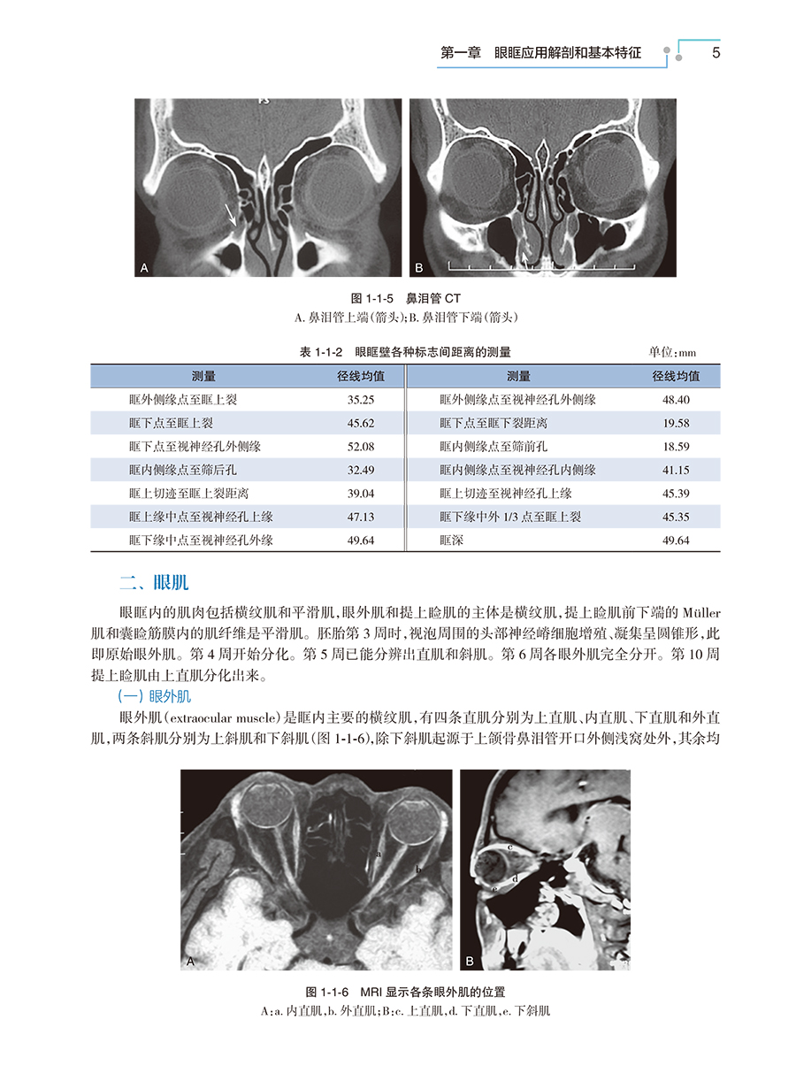 31426(yz) (4).jpg