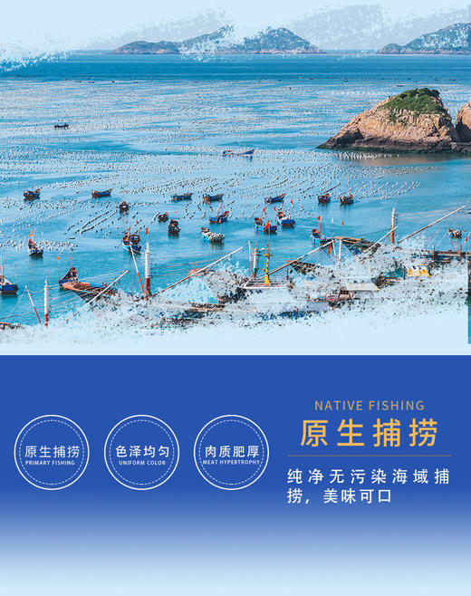 优选丨海利恒精品米刺礼盒 海鲜水产 时令生鲜 ， 健康轻食 平价海参1000g(12-18根)非礼盒装更实惠，500g*2只要368！！！！ 商品图4