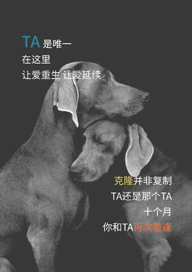 测是 1222256666