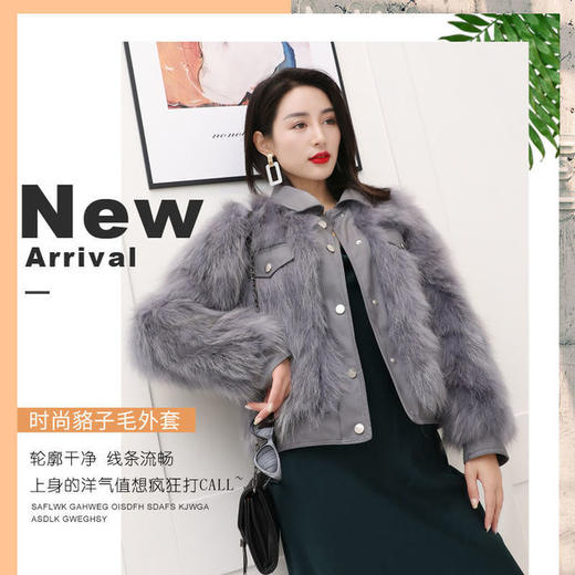 【服饰鞋包】女新款真毛海宁狐狸貉子皮草外套短款机车服网红同款年轻韩 商品图1