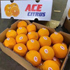 【ACE•澳橙🍊】闪亮登场，登场即惊艳，口味极佳，橙味浓郁，果肉细腻，酸甜可口15只/箱 商品缩略图7
