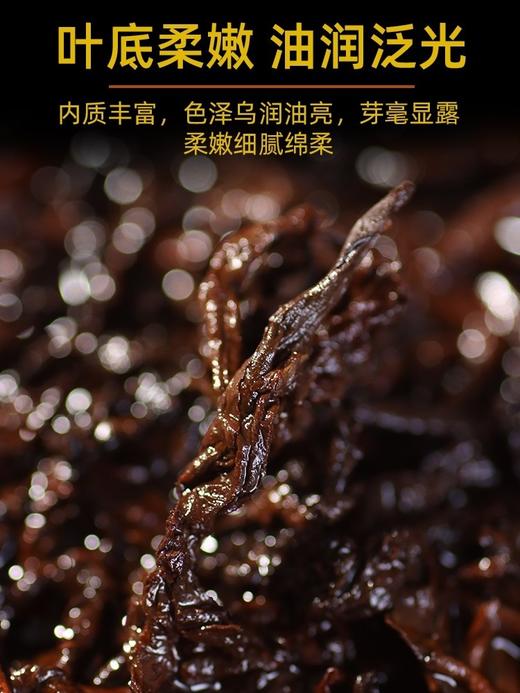 【景迈熟普+那卡生茶】景迈高端熟，一山一味标杆熟普 商品图3