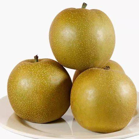 翠冠梨3斤