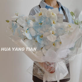碎冰蓝  蝴蝶兰 · 花束