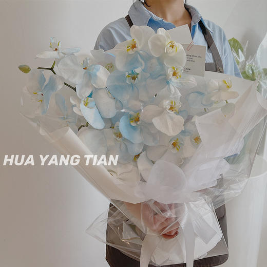 碎冰蓝  蝴蝶兰 · 花束 商品图0