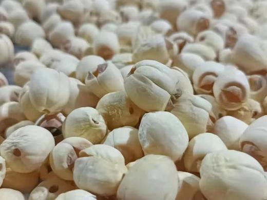 自然农法白莲子 350克 商品图0