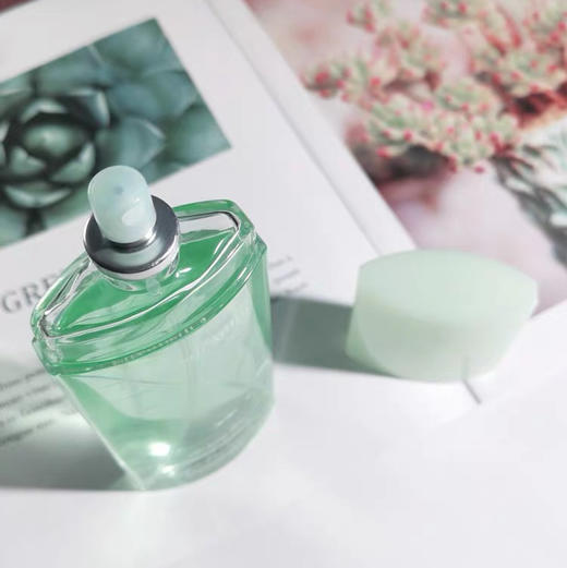 雅顿绿茶香水30ml 商品图3