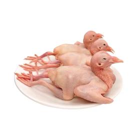 【气调锁鲜】苏食冰鲜乳鸽1只【025】