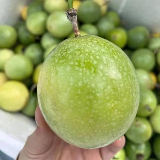 青皮黄金蜂蜜百香果 1箱约5斤 【青皮熟哦】