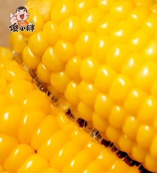 傻小胖2021新鲜甜糯玉米棒 商品图2