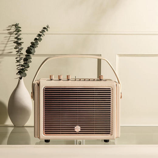 胡海泉推荐 | 猫王音响 Mate4便携无线牙音箱 家用手提复古重低音炮[福利品] 商品图4