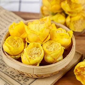 【“茶族皇后”•金花茶】“东方魔茶”“植物中的大熊猫”广西防城港金花茶长寿茶养护血管清理自由基